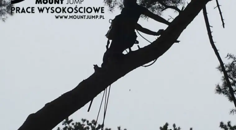 Ścinka drzew, ścinka sekcyjna prace alpinistyczne