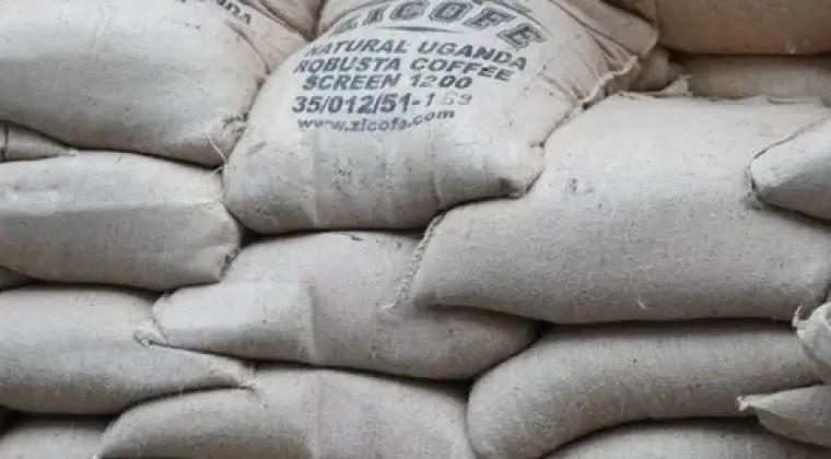 Kawa zielona – niepalona, Robusta 100% (Wietnam)