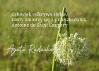 pomoc uzależnionym oraz ich bliskim