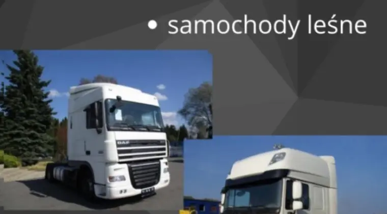 SKUP AUT CIĘŻAROWYCH