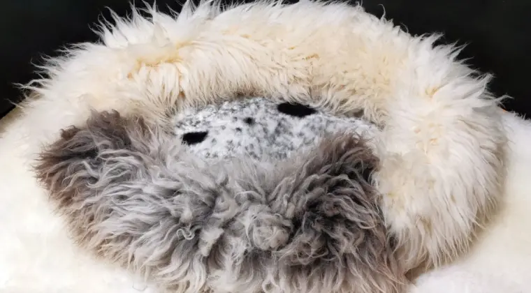 Legowiska dla psów Skóra owcza - producent Adam Leather