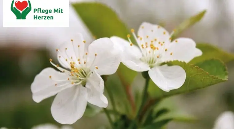  Badenia-Wirtembergia, w rejencji Stuttgart- PRACA