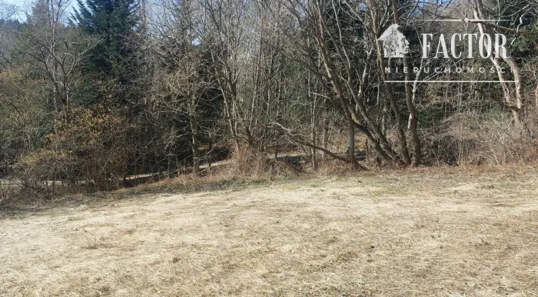 Działka budowlano-rolna 18,46 ara – Bieśnik, gm. Łużna, 1184S/2026