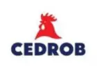 Pracownik Produkcji – rozbiór - Kutno (K/M)