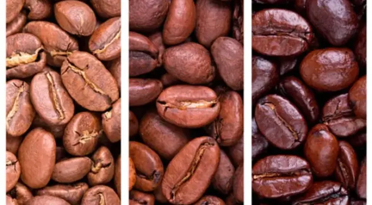 Kawa palona ziarnista - 70% Robusta, 30% Arabica, SC 16+ | Maranello Coffee