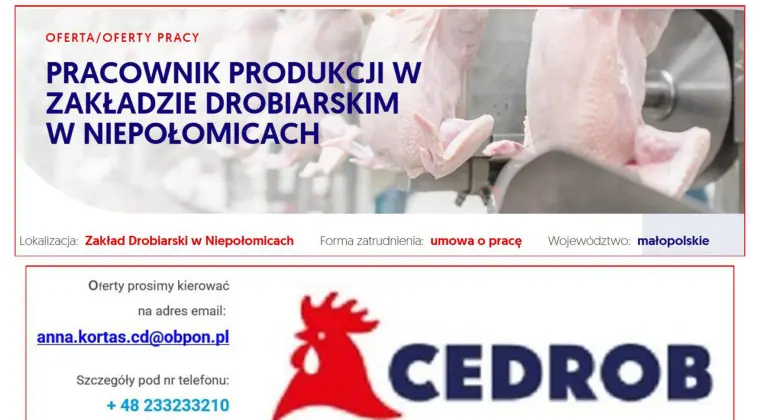 Pracownik produkcji w Zakładzie Drobiarskim w Niepołomicach