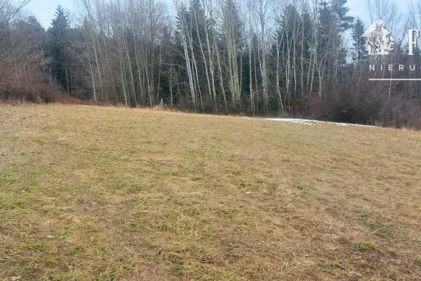 Siary (gm. Sękowa) działka budowlana 41 a 1172S