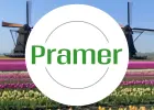 Pracownik produkcji i renowacji palet (brak wymagań)