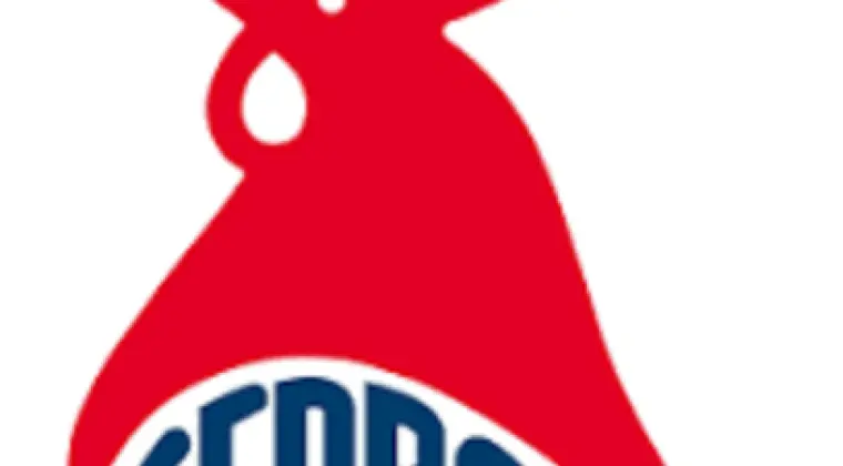 Lider produkcji (K/M)