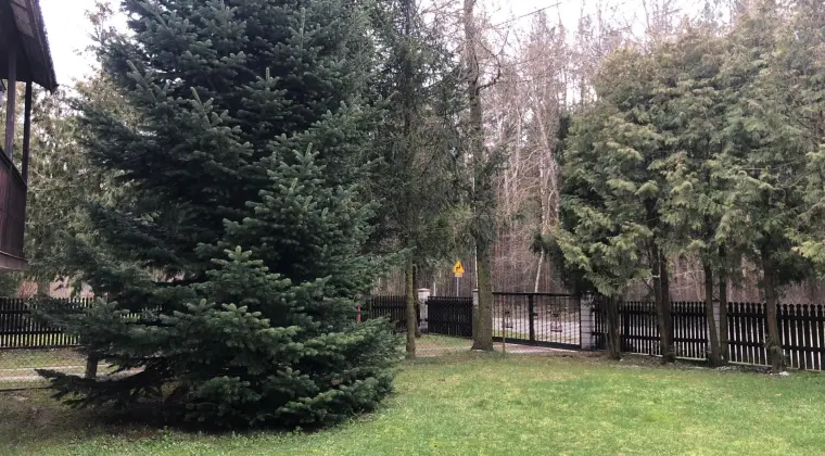 Dom przy lesie z niskimi kosztami utrzymania, obniżona cena