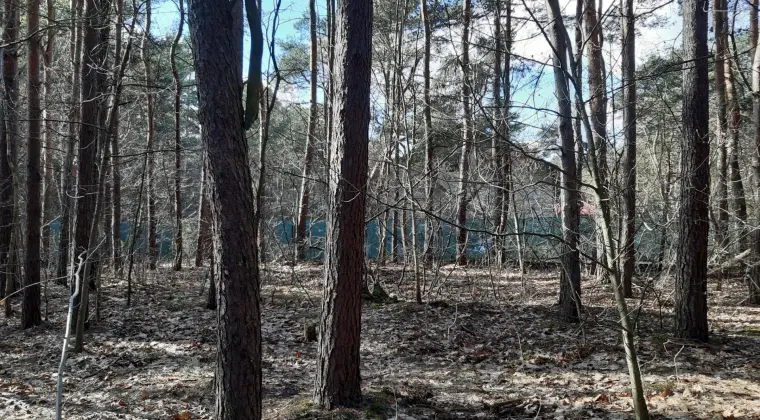 Działka lesna w Warszawie, nieopodal trasy Mostu południowego NA lokatę kapitału i INWESTYCJĘ w przyszłości!