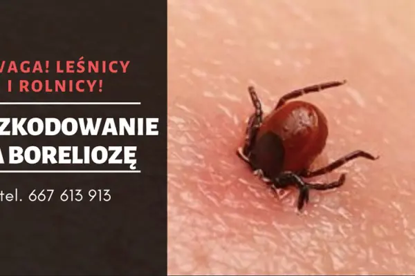 Odszkodowanie za boreliozę