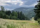 Dwoje niepełnosprawnych razem! Zaryzykować dwójce warto!