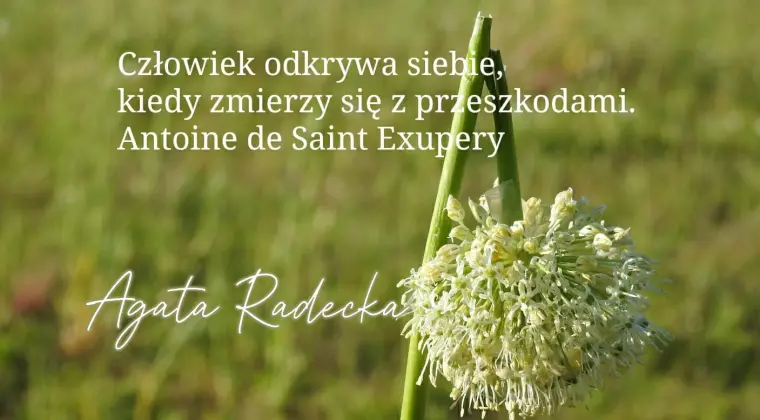 pomoc uzależnionym oraz ich bliskim