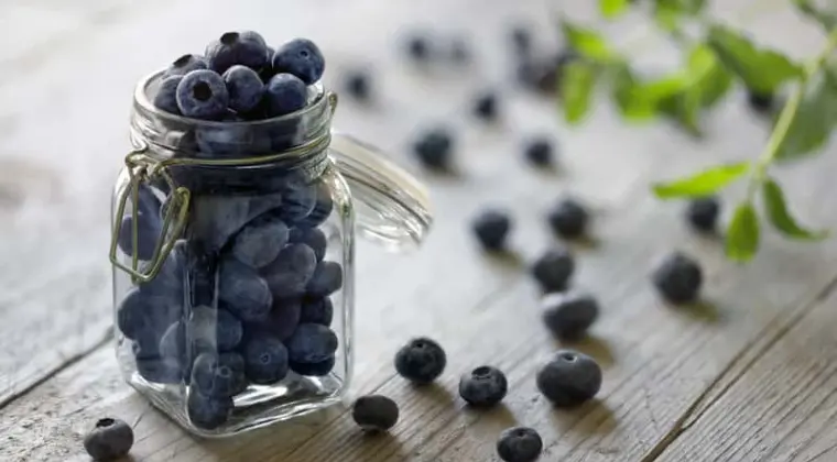 Zbiory borówki amerykańskiej z bezpłatnym zakwaterowaniem od zaraz !!