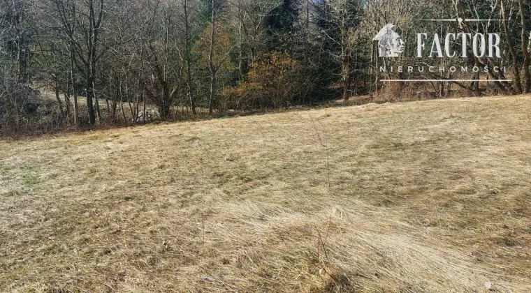 Działka budowlano-rolna 18,46 ara – Bieśnik, gm. Łużna, 1184S/2026