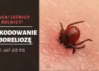 Odszkodowanie za boreliozę