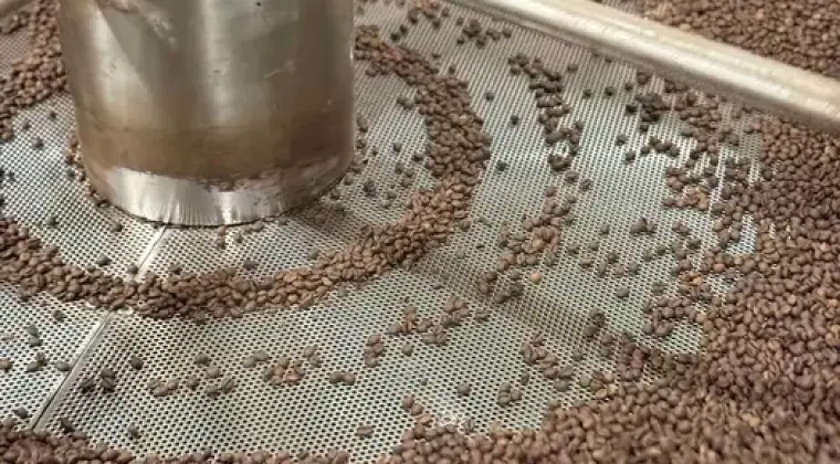 Kawa palona ziarnista 100% Arabica (Brazylia)