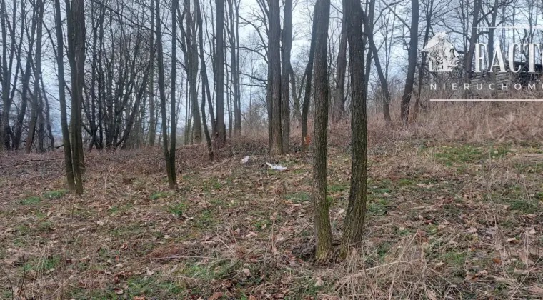 Duża działka z budynkiem gospodarczym – 80 arów, Sędziszowa