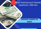 SKUP SPÓŁEK ZADŁUŻONYCH – BEZPIECZNIE I LEGALNIE