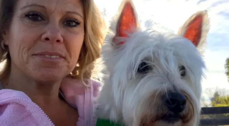 Poznam przystojnego pana z Katowic