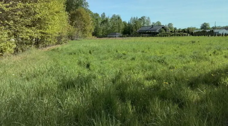 Budowlana Działka na Sprzedaż - Powierzchnia 23 Ary - Pisarzowice koło Bielska Bialej 
