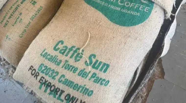 Kawa palona ziarnista - 70% Robusta, 30% Arabica, SC 16+ | Maranello Coffee