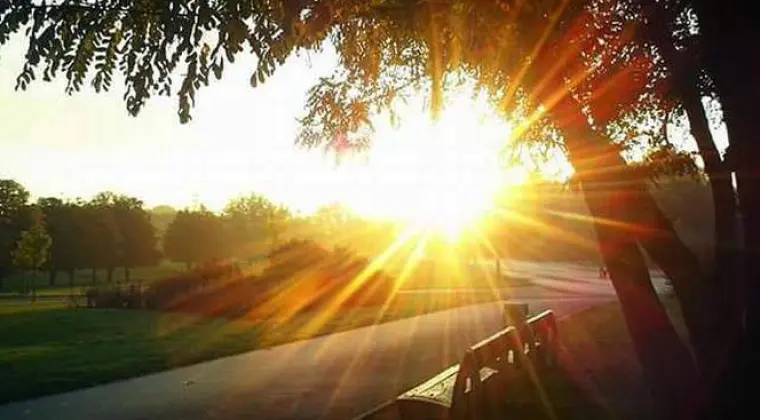 Dystrybutor w branży WELLNESS