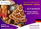 Pracownik produkcji (pakowanie ciastek – bez znajomości języka)   