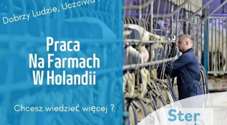 Praca na gospodarstwie - Dojarz - Produkcja mleczna