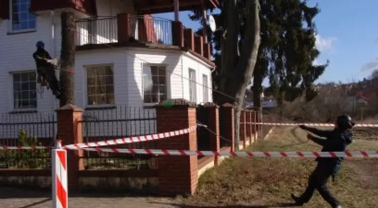 Sekcyjna ścinka drzew