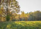 Działki rekreacyjne w Dolinie Baryczy - Zamieszkaj w pięknej okolicy