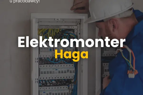 Elektromonter (przemysłówka) - Haga, Holandia