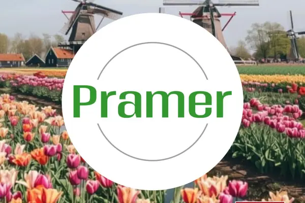 Pracownik przy zbiorze pieczarek - praca w Holandii