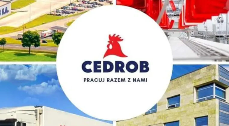 Magazynier w Zakładzie Handlu i Logistyki