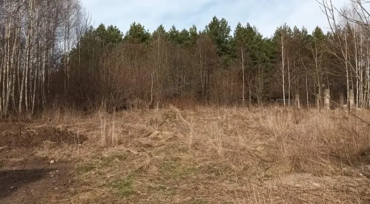 Sprzedam siedlisko