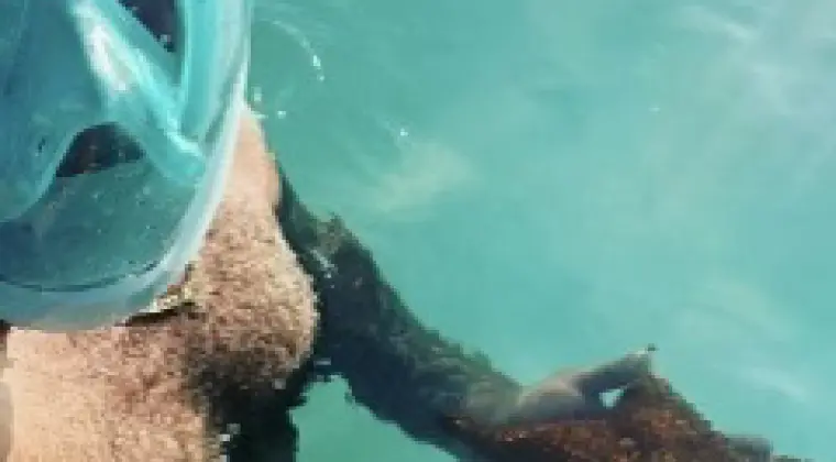 Szukam Przyjaciółki z Inglostadt