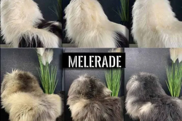 A wide selection of soft and high quality sheepskins. Purely natural and 100% BIO.