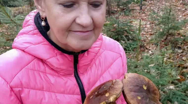 Opieka , pomoc domowa, sprzatanie - kobieta poszukuje pracy