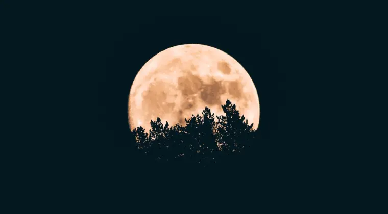 Porywy serca astralnej duszy