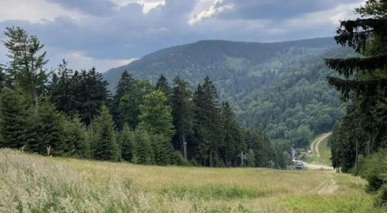 Dwoje niepełnosprawnych razem! Zaryzykować dwójce warto!
