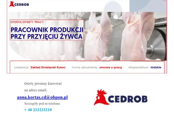Pracownik produkcji przy przyjęciu żywca Kutno
