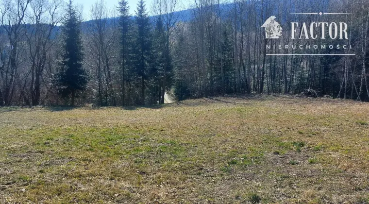 Widokowa działka budowlana 12,79 ara – Bieśnik, gm. Łużna 1183S/2026