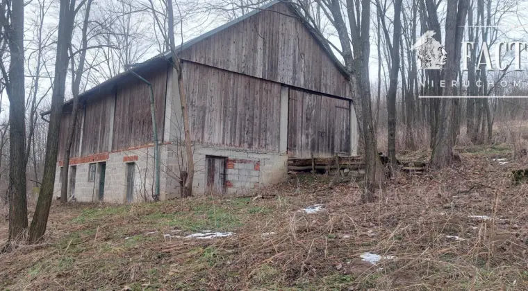 Duża działka z budynkiem gospodarczym – 80 arów, Sędziszowa
