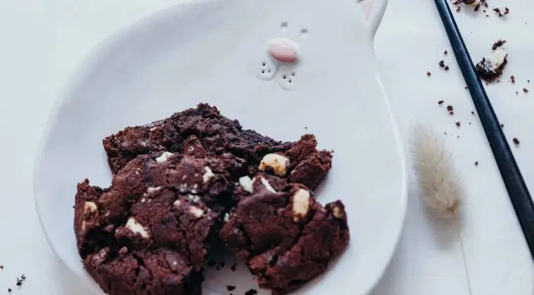 Biały talerzyk deserowy kot - Rękodzieło na prezent - Lamabo Ceramics