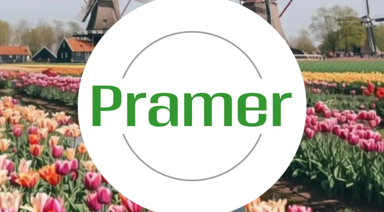 Pracownik przy zbiorze pieczarek - praca w Holandii