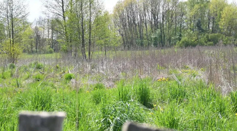 Działka - Siedlisko 220km od Warszawy 4tyś m2 w sercu Podlasia 4000m2