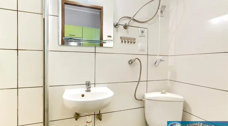 POZNAŃ, CENTRUM, BUKOWSKA | MIESZKANIE NA WYNAJEM