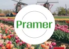 "Order picker na magazynie LIDL (Holandia) - wysokie tygodniówki "