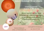 Galeria Medytacji w Łodzi – Otwarte drzwi